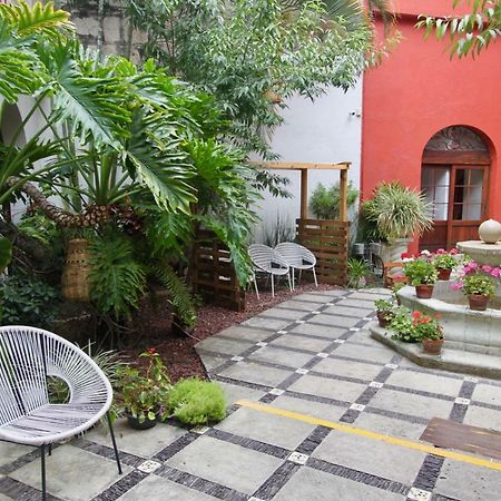 Hotel Trebol Oaxaca Экстерьер фото